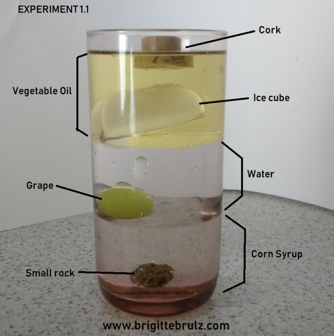 Simple Science Experiment